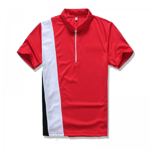 Two-toned Polo Shirt